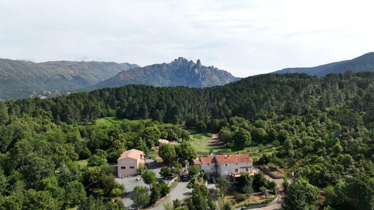 Les Hauts De Cavanello Zonza Eksteriør billede